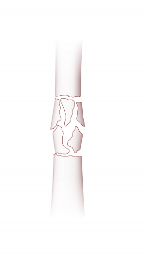 Click to enlarge image 3.5.3.3-22.png