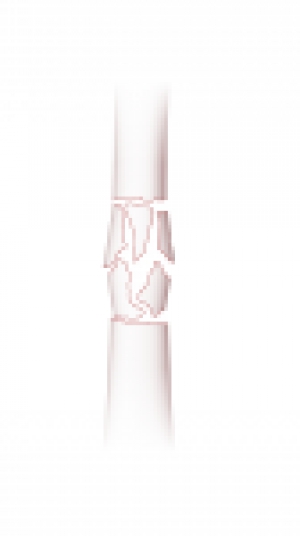 Click to enlarge image 3.2.3.3-42-84x150.png