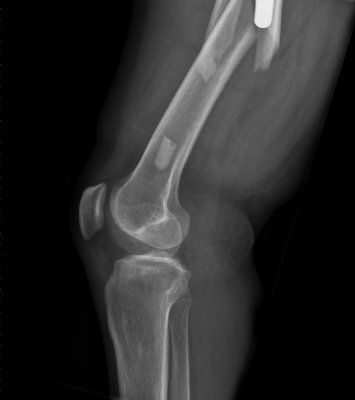 Click to enlarge image 1.1.2-22.jpg
