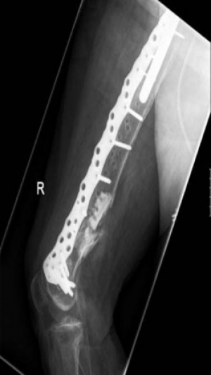 Click to enlarge image 5.jpg