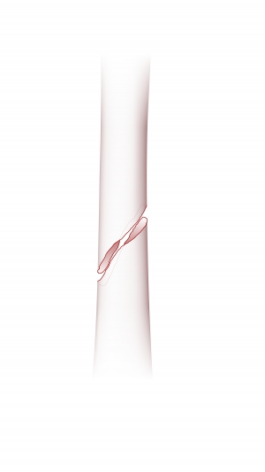 Click to enlarge image 3.5.3.1-24.png